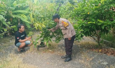 Polsek-Tanggulangin-Tinjau-Langsung-Pengelolaan-Pekarangan-Pangan-Bergizi-di-Desa-Ketegan